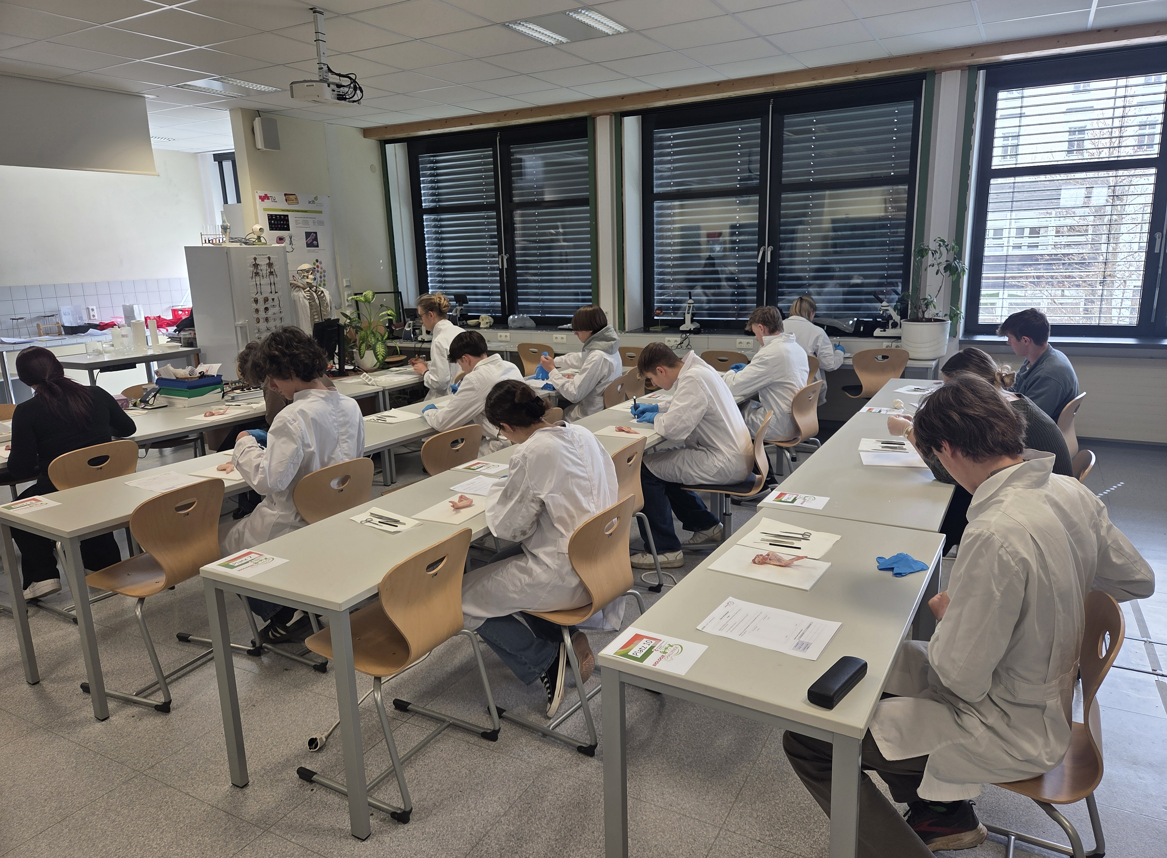 Bio Challenge ©Pamina Loretto