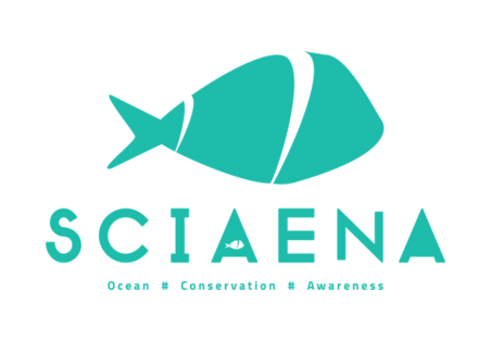 Sciaena Logo 