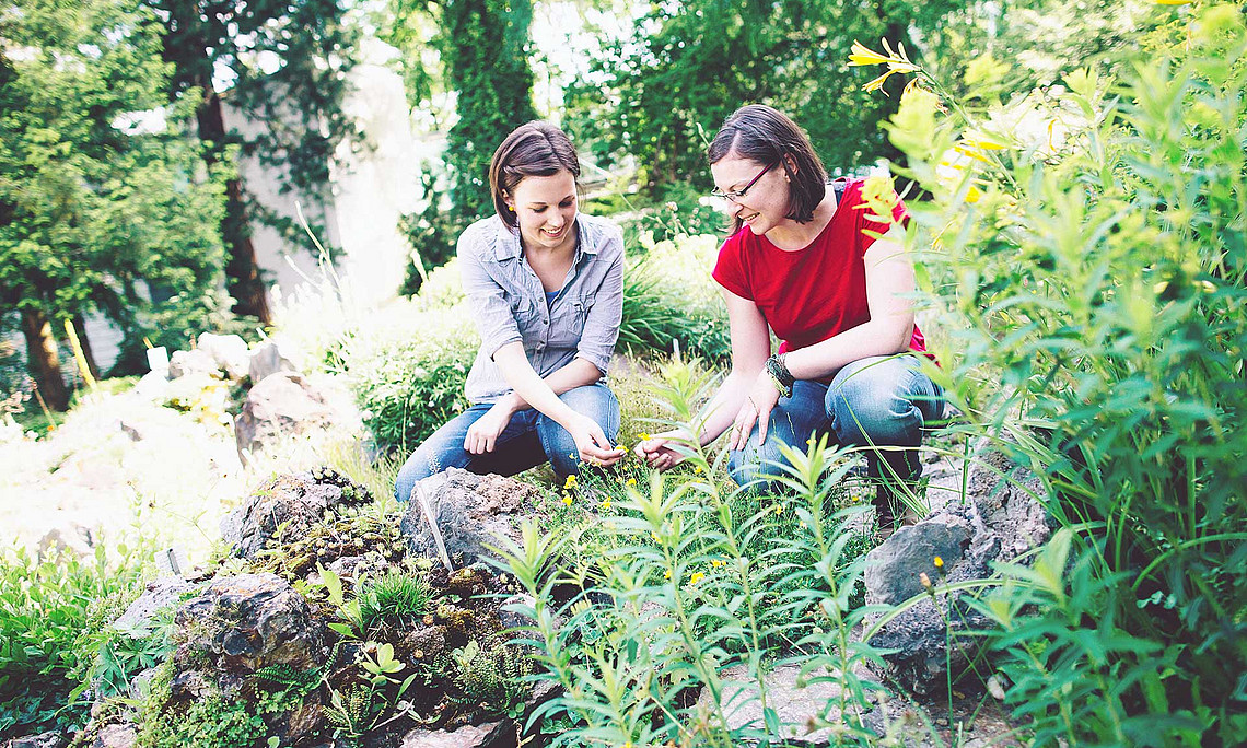 Zwie Frauen beim Pflanzen im Garten