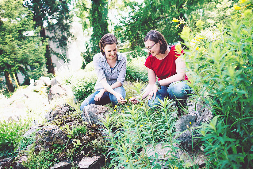 Zwie Frauen beim Pflanzen im Garten