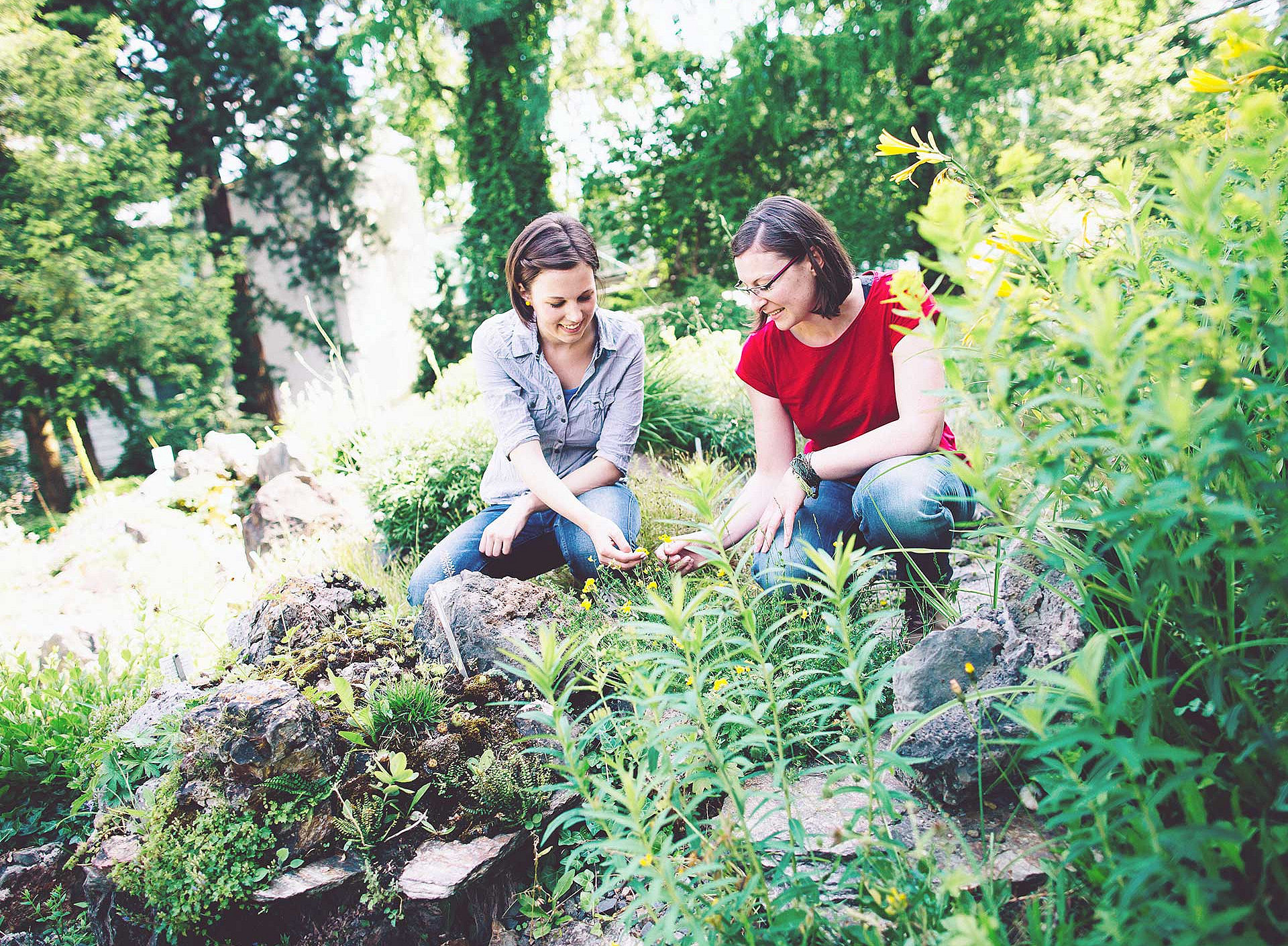 Zwie Frauen beim Pflanzen im Garten ©KANIZAJ MARIJA-M. | 2015