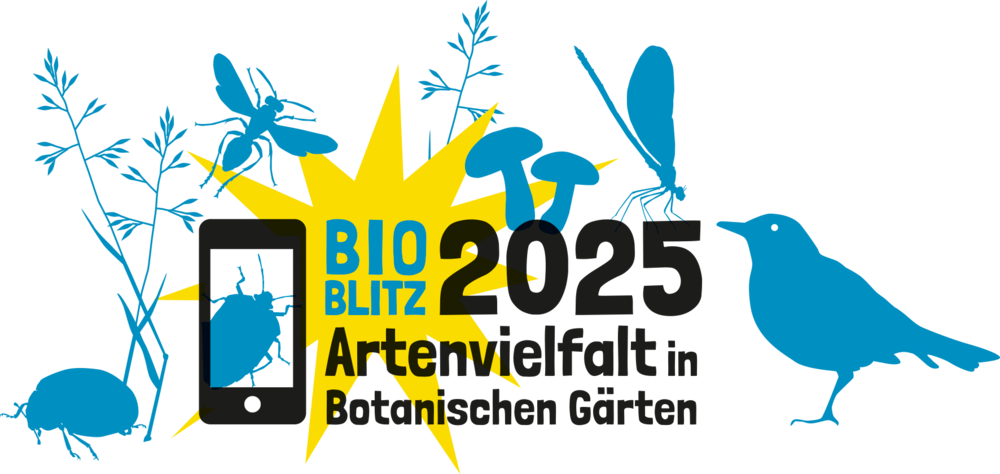 Bioblitz Logo 2025 {f:if(condition: '', then: '©')}