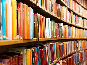 Bücherregale ©Pink Badger - stock.adobe.com