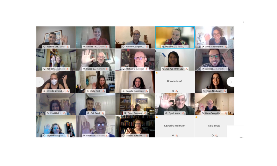 Screenshot des Online-Webinars