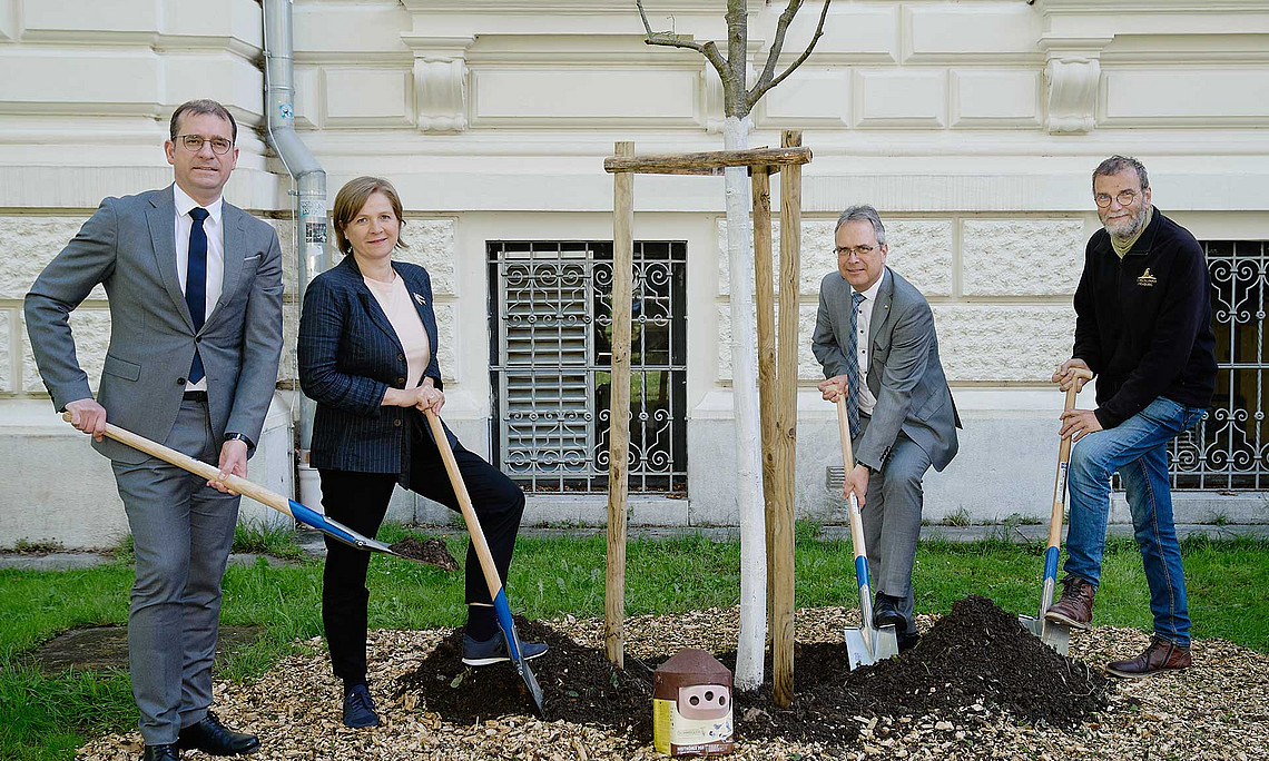 BIG-Geschäftsführer Hans-Peter Weiss, Vizebürgermeisterin Judith Schwentner, Rektor Peter Riedler und Christian Berg (v. l.), Leiter des Botanischen Gartens, pflanzen eine Vogelbeere, einen von 50 neuen Bäumen am Campus der Uni Graz. / Foto: Uni Graz/wildundwunderbar