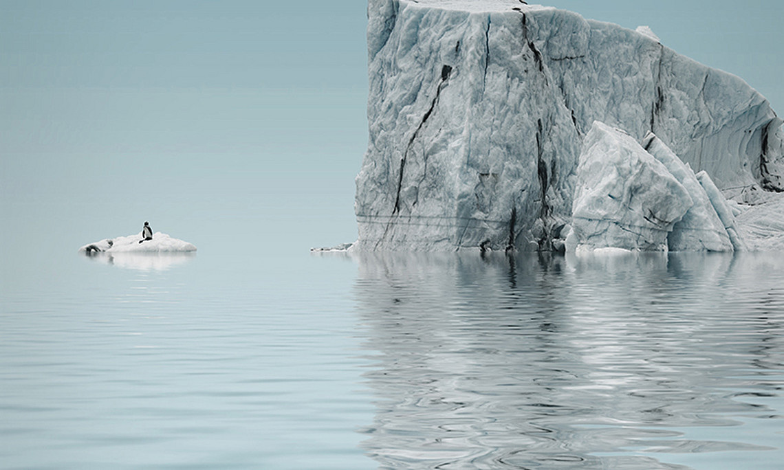 Die Ringvorlesung Sustainability4U möchte für den Klimaschutz sensibilisieren und zeigen, was jede/r dazu beitragen kann. Foto: Michaelmode/pixabay.com