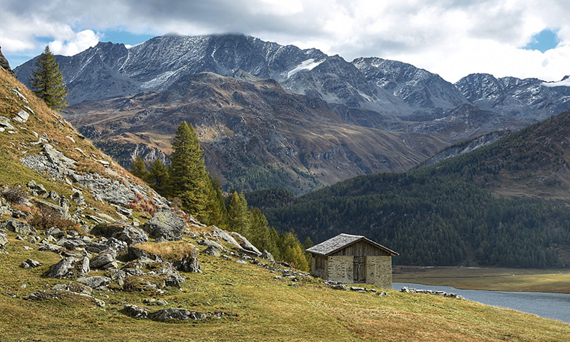 Selbst in der scheinbar sanften Natur lauern mitunter tödliche Gefahren. Foto: Pixabay