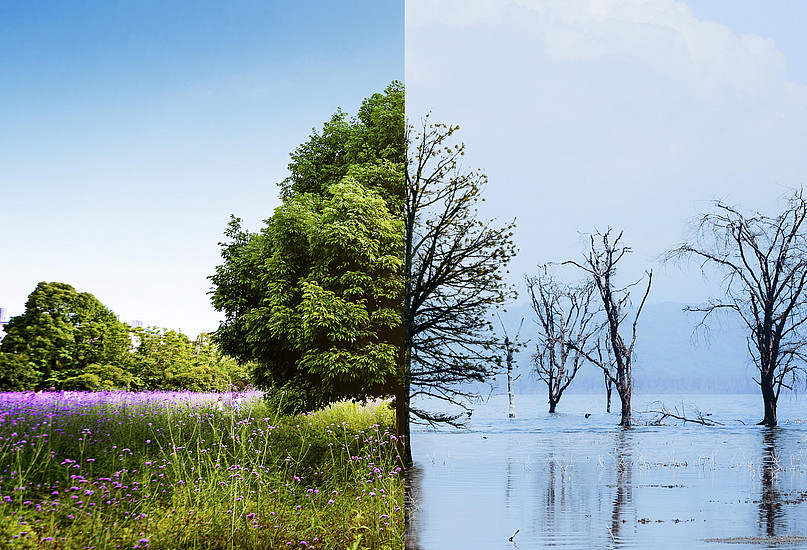 Baum der in der Mitte optisch geteilt wird; auf der linken Seite grün bewachsen; auf der rechten Seite unter Wasser und kahl ©Freepik Company S.L. - www.freepik.com