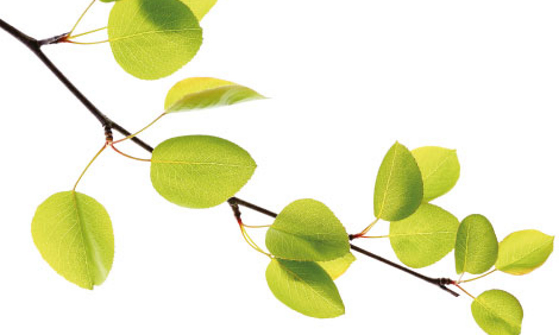 Umweltfreundlich und effizient eröffnet die moderne Biotechnologie enorme Möglichkeiten. Foto: acib
