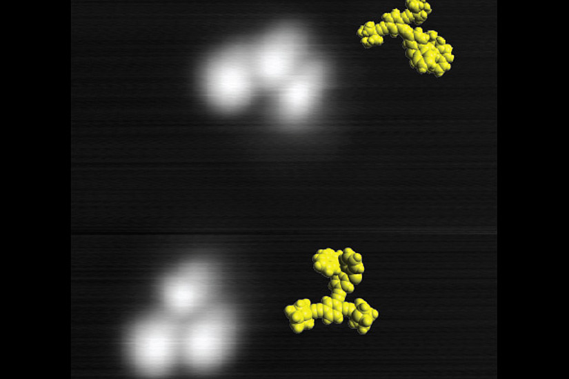 Bahnbrechende Entwicklung: Zwei Nano-Maschinen (weiß) auf einer 8x8 Nanometer großen Kupferoberfläche (grau), aufgenommen bei -267° mit einem Rastertunnelmikroskop. In Gelb die Molekül-Modelle der Maschinen. Foto: Uni Graz/Grill