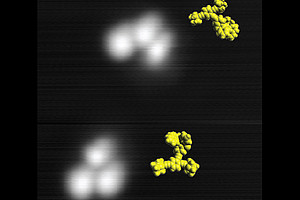Bahnbrechende Entwicklung: Zwei Nano-Maschinen (weiß) auf einer 8x8 Nanometer großen Kupferoberfläche (grau), aufgenommen bei -267° mit einem Rastertunnelmikroskop. In Gelb die Molekül-Modelle der Maschinen. Foto: Uni Graz/Grill