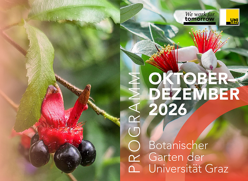 Programm Herbst Winter 26 Titel 