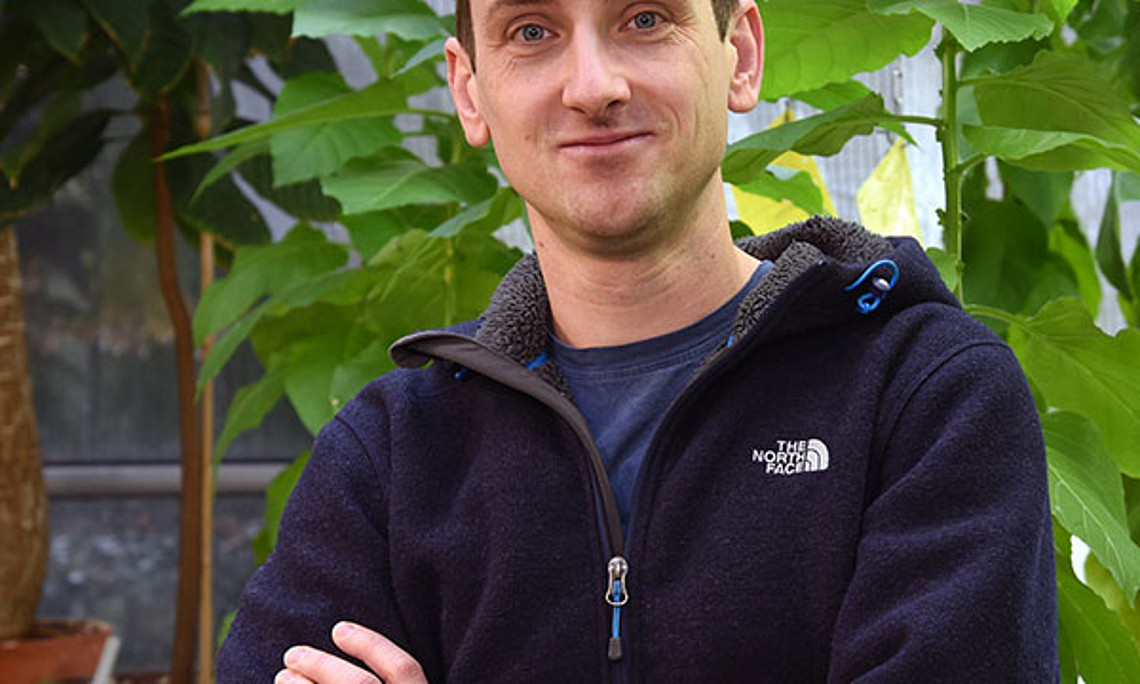 Tomáš Werner ist seit 1. Oktober 2016 Professor für Molekulare Pflanzenphysiologie an der Uni Graz. Foto: Uni Graz/Pichler