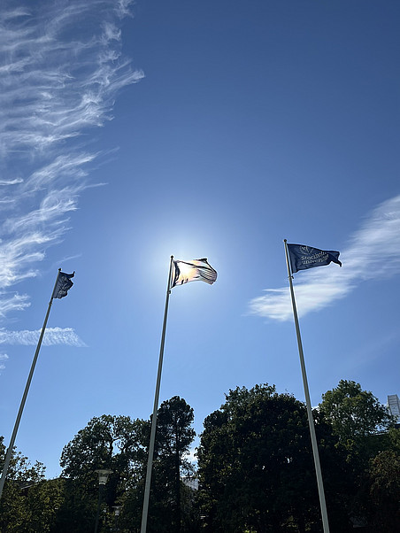 Stockholm flaggen ©Global Diary | Malin Walther