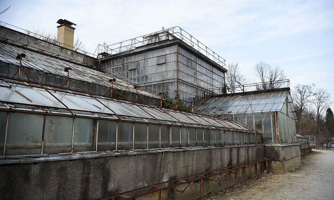 Das Alte Glashaus im Botanischen Garten wird saniert. Bis 2020 soll es wieder nutzbar sein. Foto: Uni Graz/Tzivanopoulos