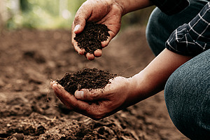Hands of a person inspecting soil health