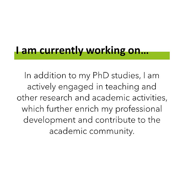 I am currently working on: In addition to my PhD studies, I am actively engaged in teaching and other research and academic activities, which further enrich my professional development and contribute to the academic community. 