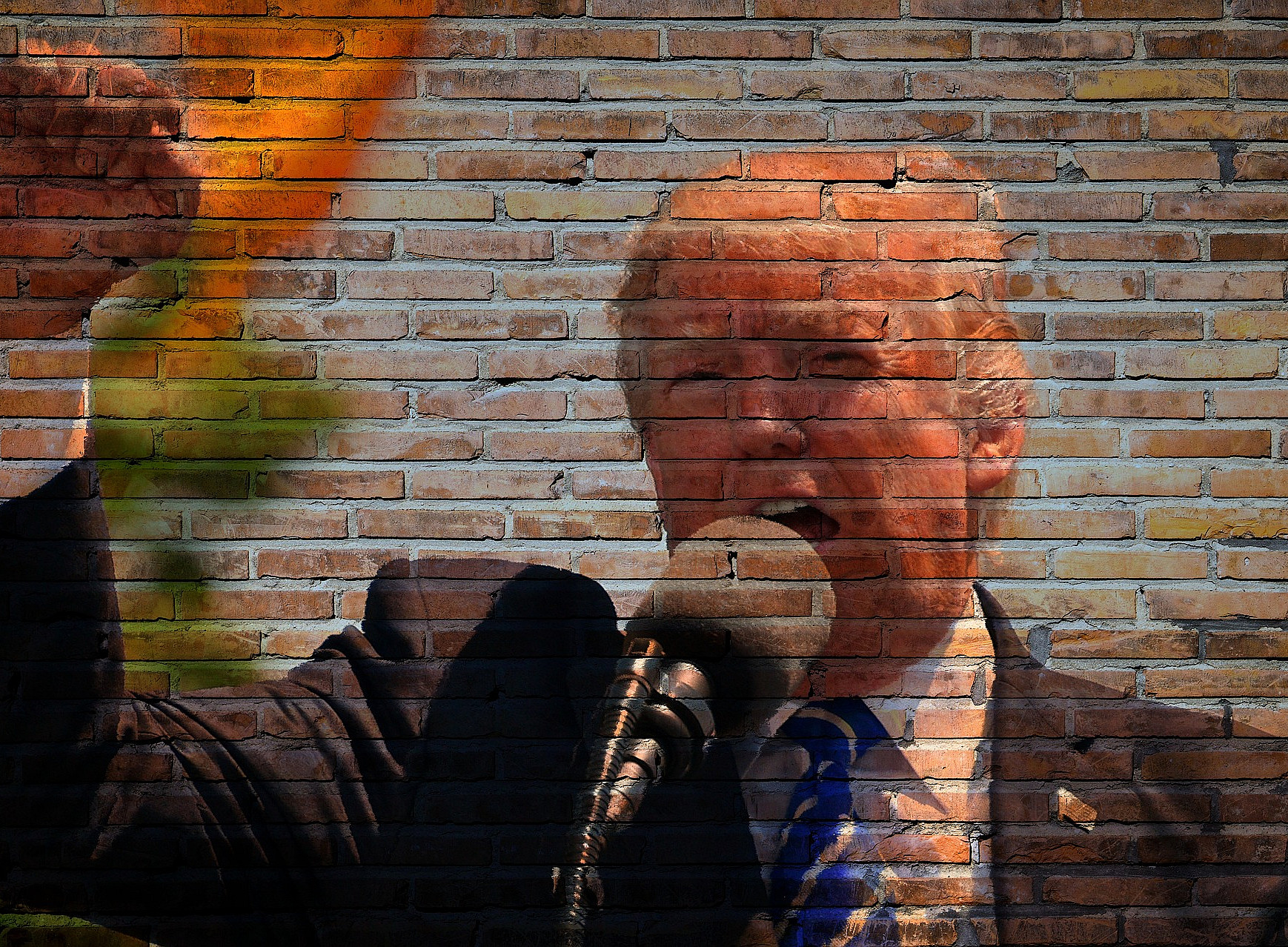 Profil Trump ©TheDigitalArtist