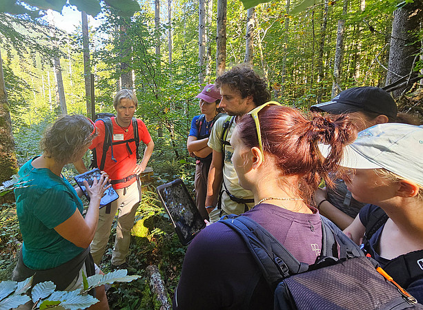 Studierendengruppe im Wald, eine Person zeigt den anderen etwas auf einem Tablet ©Marco Kirchmair