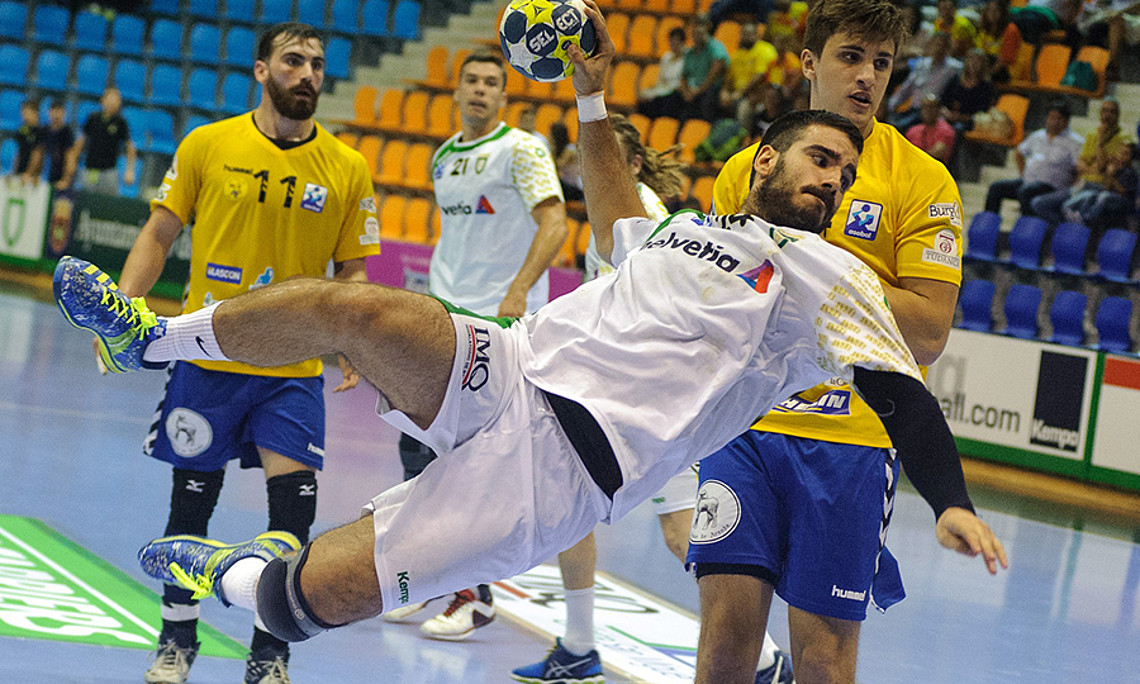 Dass einstudierte Spielmuster in der Praxis tatsächlich umgesetzt werden können, zeigen Sportwissenschafter am Beispiel Handball. Foto: pixabay.com