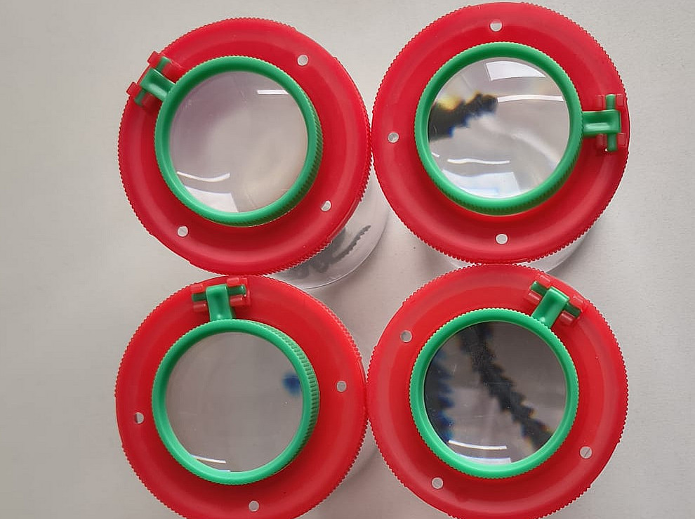 Becherlupen ©DINAMA Uni Graz