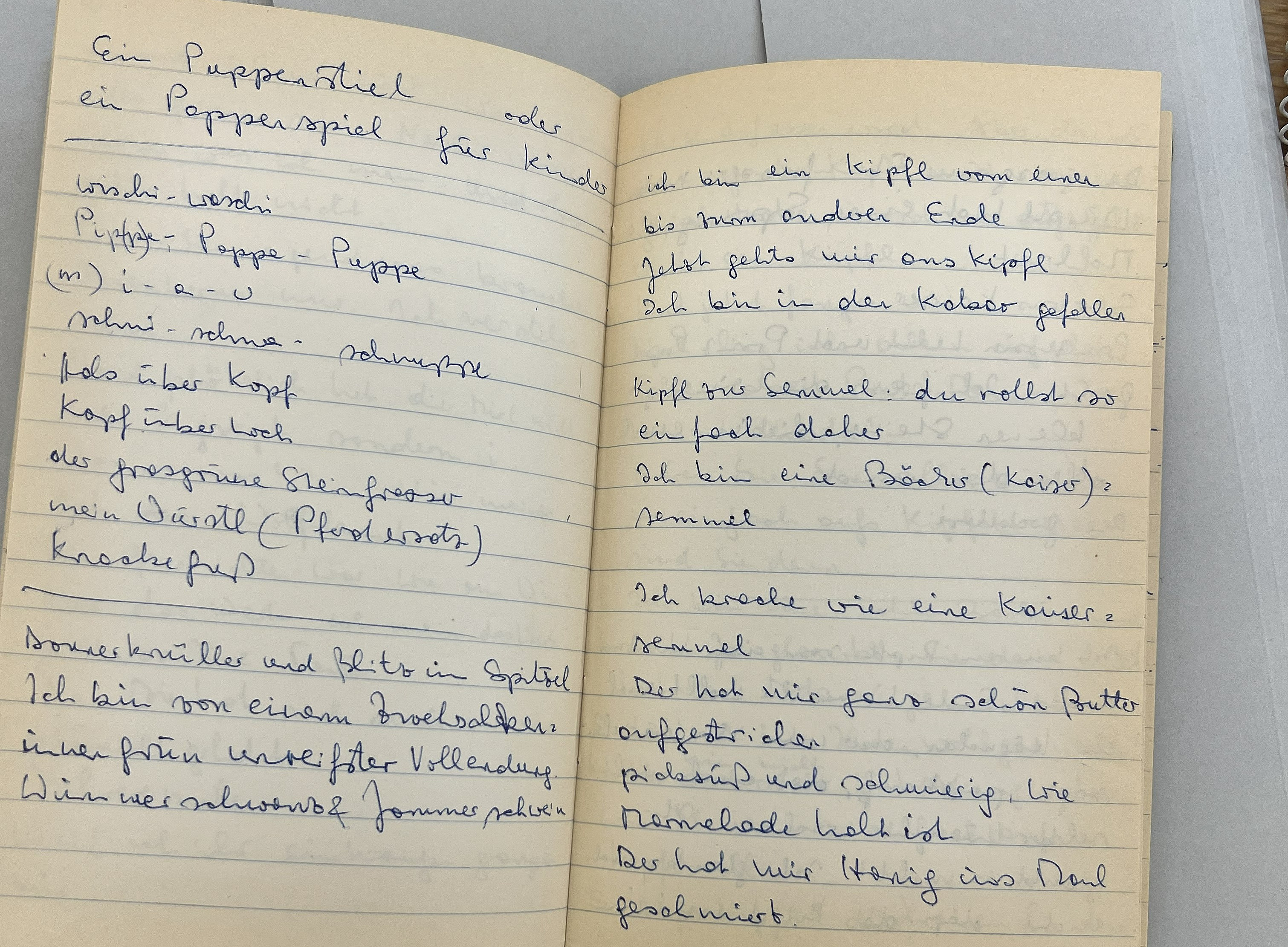 Frischmuth Manuskriptbuch 