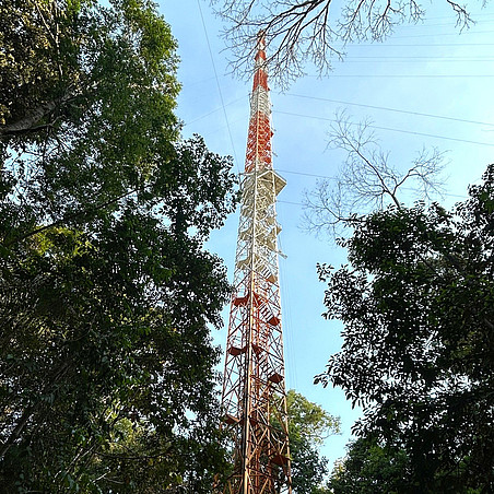 View of ATTO (Amazon Tall Tower Observatory) in Brazil ©Philipp Faulhammer