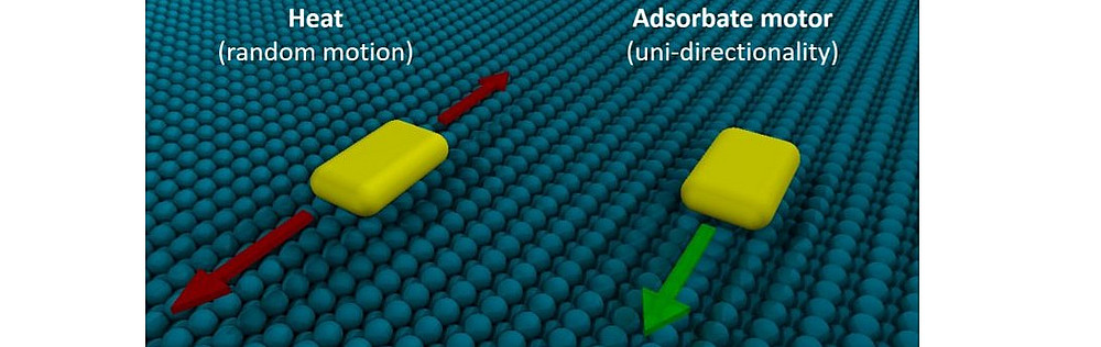 Adsorbate motors for unidirectional translation and transport ©University of Graz, G. J. Simpson, M. Persson, and L. Grill