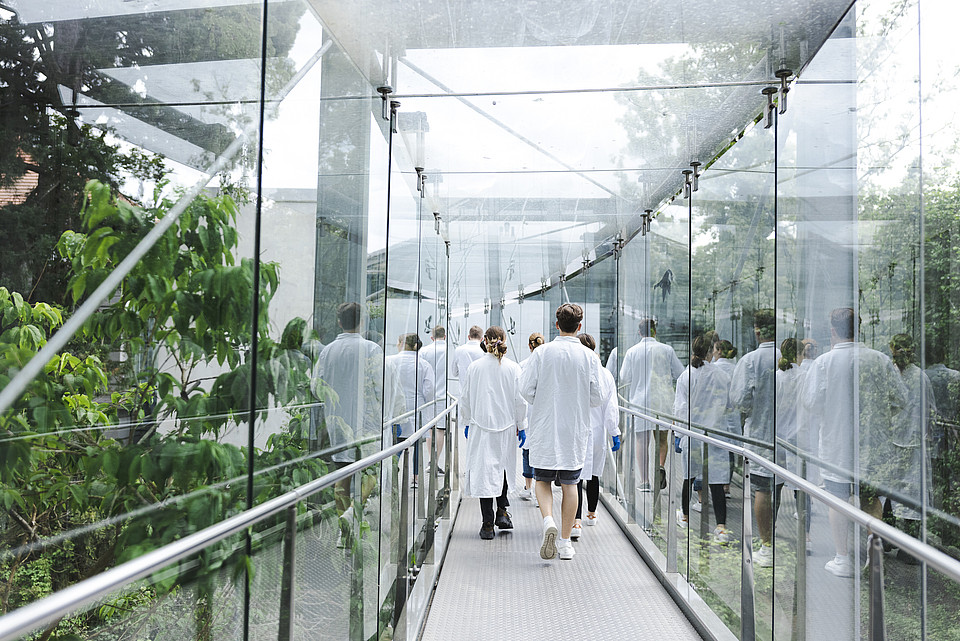 Studierende in Labormäntel gehen durch ein vergläserten Übergang