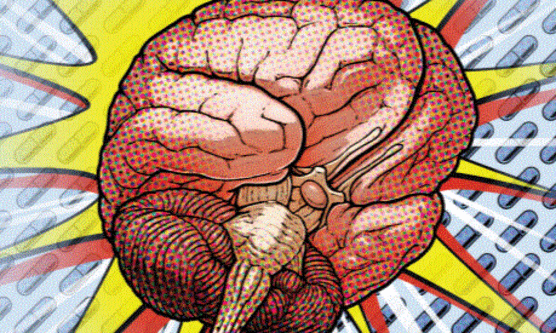 Brain