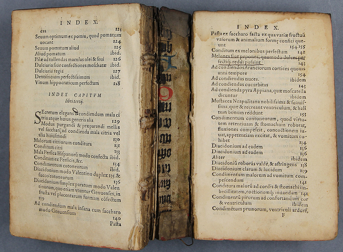 De Secretis Libri Septem ©Uni Graz/Restaurierung