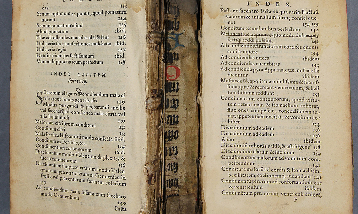 De Secretis Libri Septem
