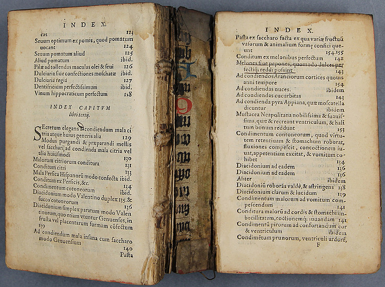 De Secretis Libri Septem 