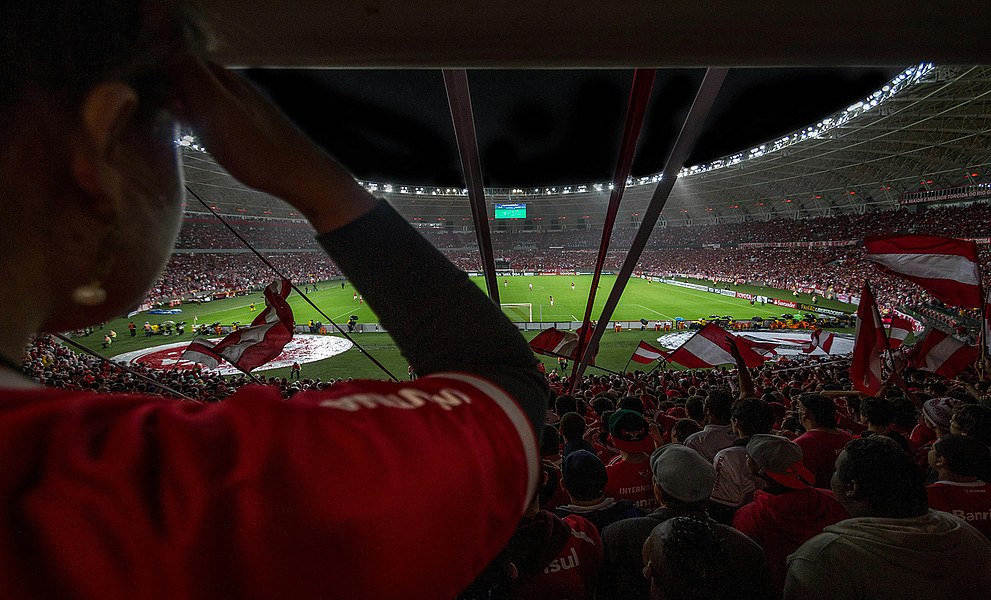 Ein Fußballfan gekleidet in den Farben Österreichs greift sich in einem Stadion an den Kopf.