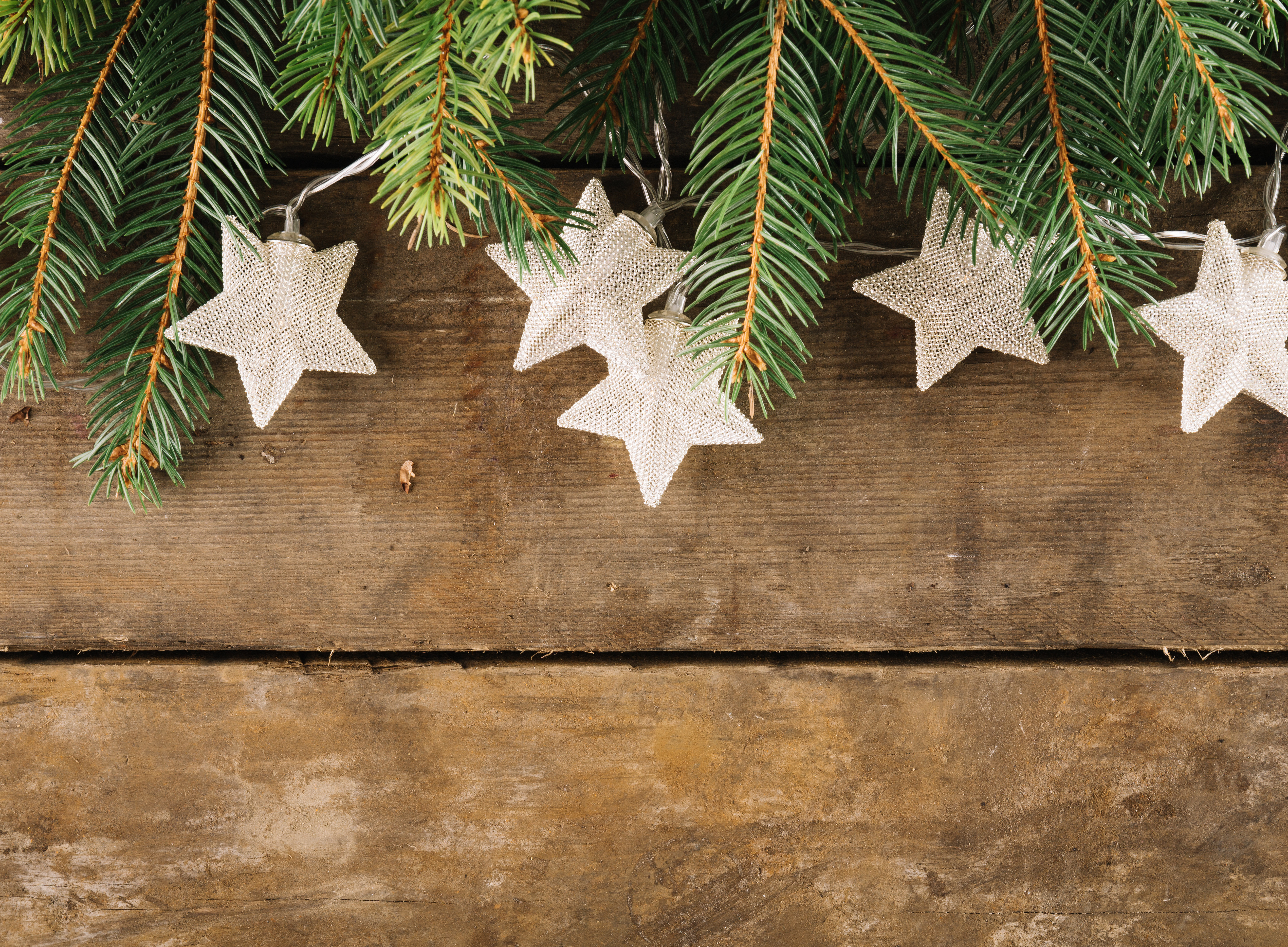 Sterne an einem Tannenzweig befestigt ©Designed by Freepik