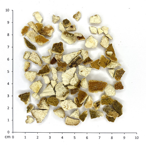 Bitterorangenschalen ©Uni Graz - Bucar/Tropper