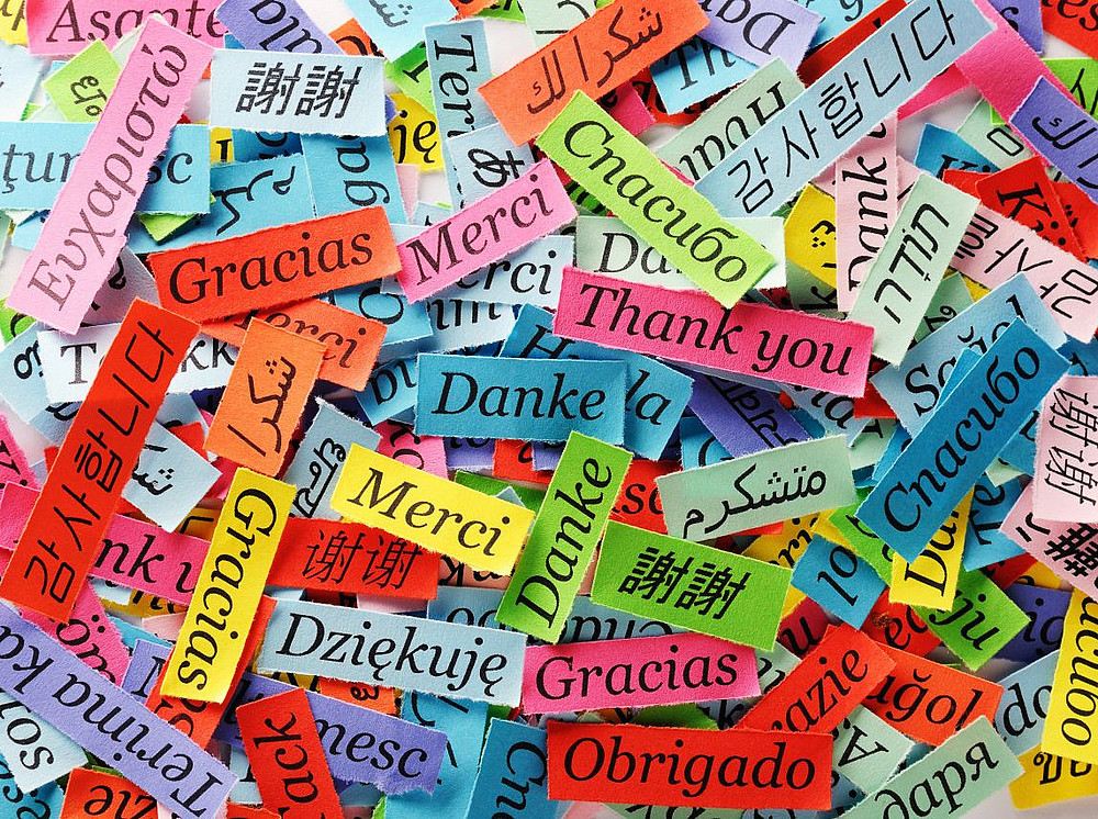 Das Bild zeigt das Wort "Danke" in den verschiedensten Sprachen und symbolisiert Lesegruppen ©aaabbc - stock.adobe.com