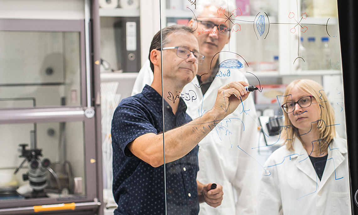 Beim ersten Durchgang der Start-up-Werkstatt werden drei Ideen ausgewählt, beim Spin-Off Lab wird sich das Unicorn-Team für ein Forschungsprojekt entscheiden, dessen Idee zur Anwendung kommen soll. Foto: Lukas Elsneg. 