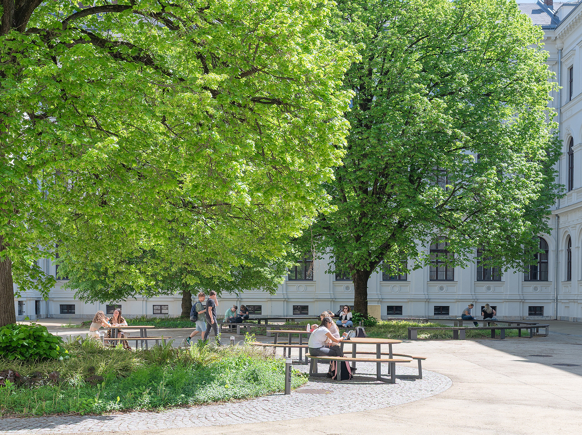 Bäume