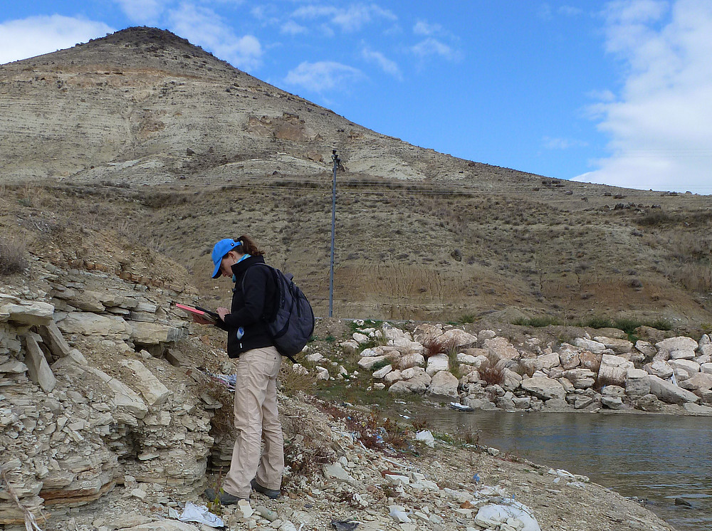 Late Miocene central Anatolian sedimentary rocks 