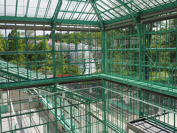 In neuem Glanz erstrahlt das alte Gerüst. Foto: Uni Graz/Grube 