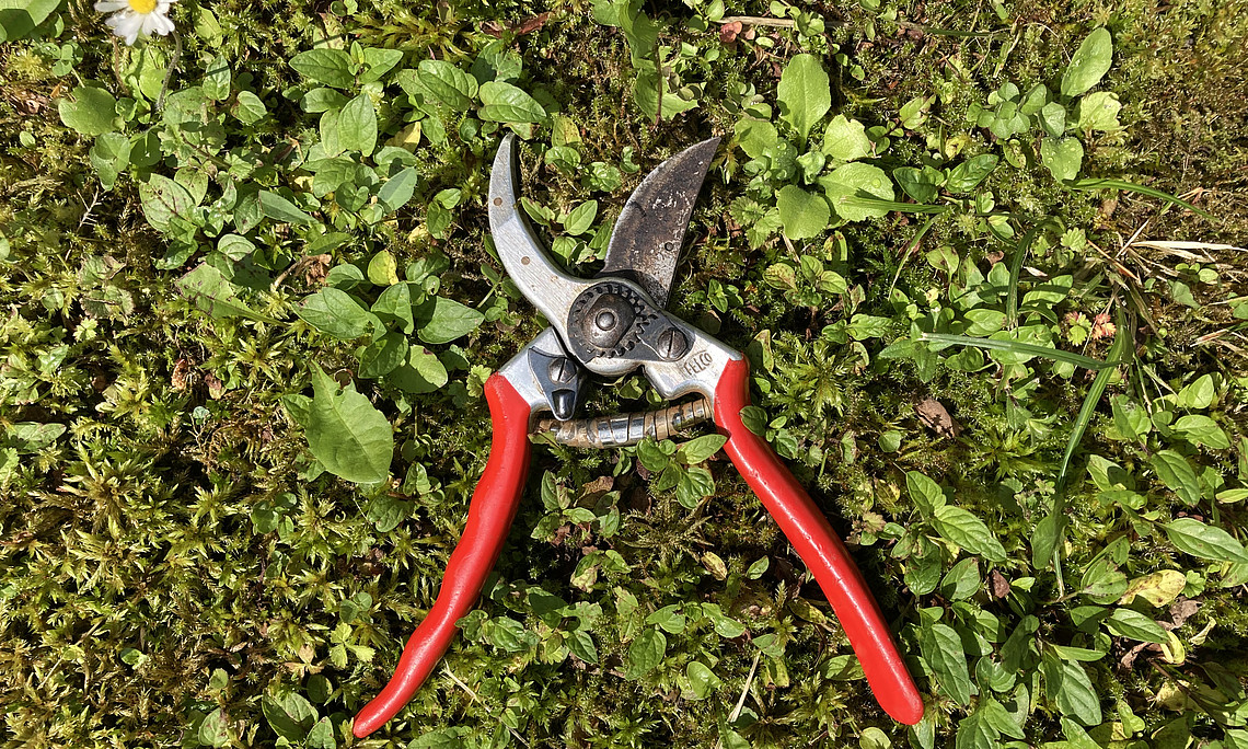 Gartenschere