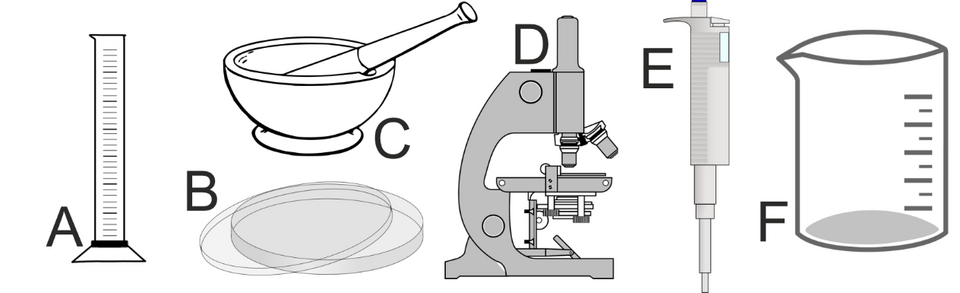 Eine Abbildung von Laborgeräten, wie beispielsweise ein Mikroskop, eine Pipette oder ein Messglas