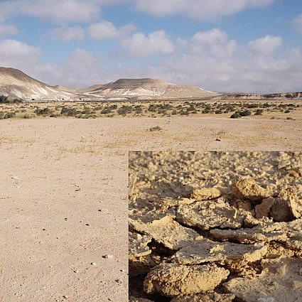 Negev Desert with close-up of the dry crust in the right-hand corner ©Dagmar Woebken, Stefanie Imminger