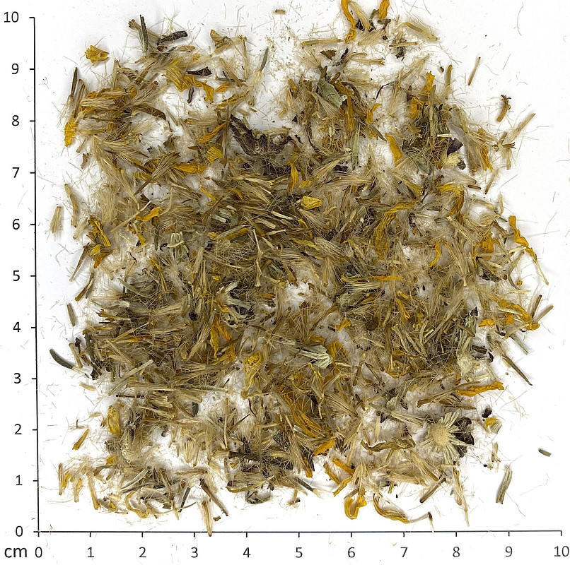 Flores Institut für Pharmazeutische Wissenschaften