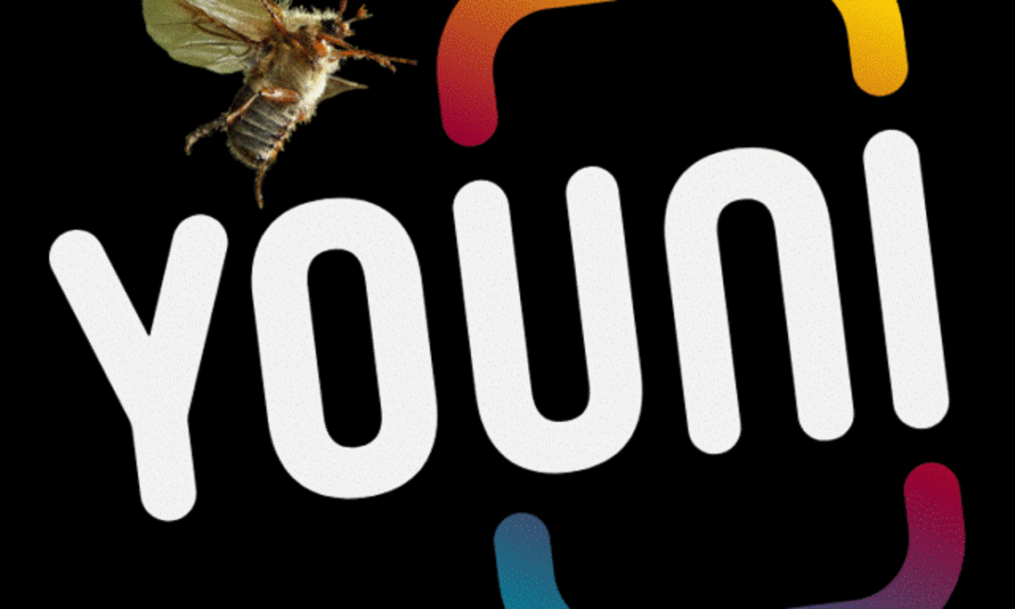youni Logo mit Juni Käfer