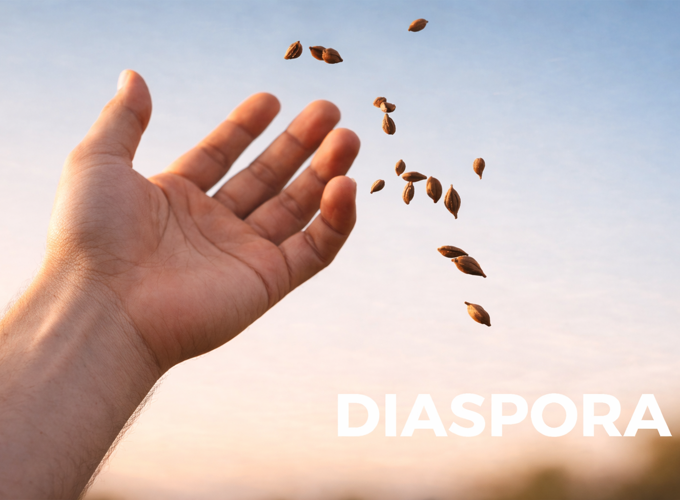 Hand wirft Samen aus 