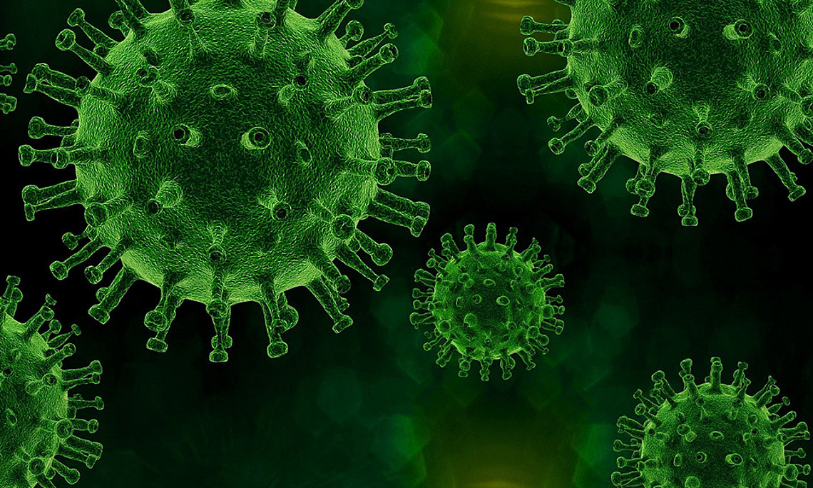 Die extreme Anhäufung von Mutationen des Corona-Virus lieferte einem ForscherInnen-Team Aufschlüsse für die Entwicklung weiterer Impfstoffe. Foto: pixabay