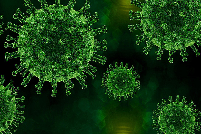 Die extreme Anhäufung von Mutationen des Corona-Virus lieferte einem ForscherInnen-Team Aufschlüsse für die Entwicklung weiterer Impfstoffe. Foto: pixabay