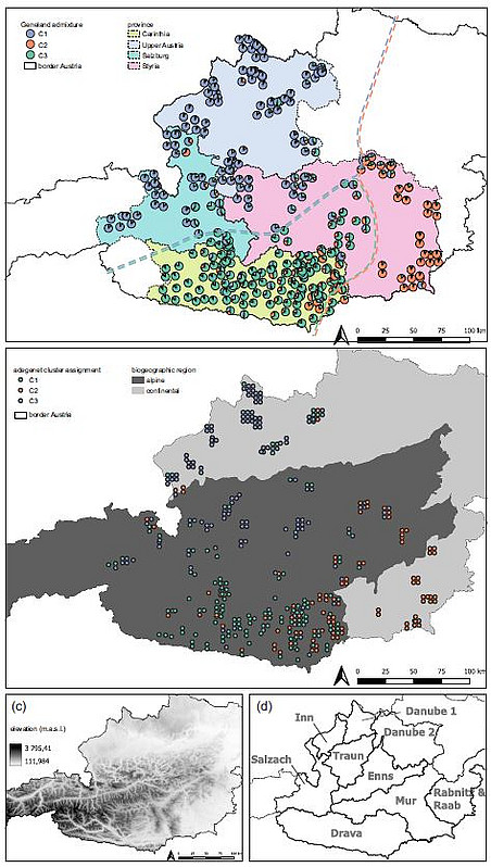 genetic map Austria 